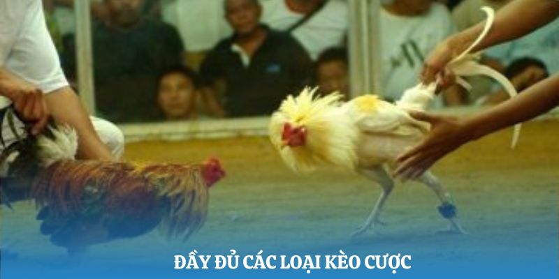 Đầy đủ các loại kèo cược cho bạn chọn lựa