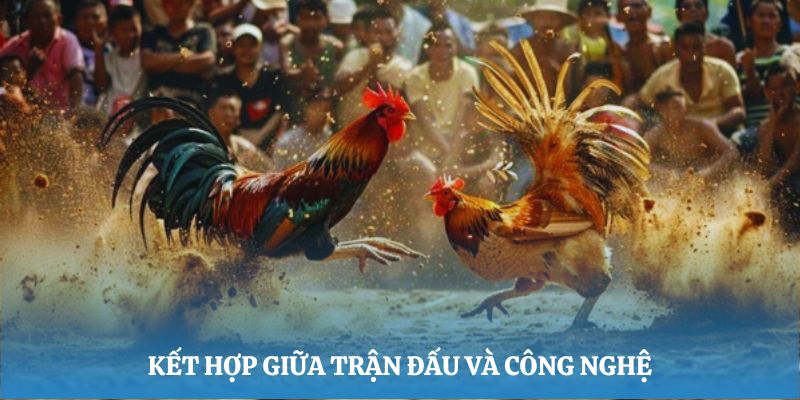 Sự kết hợp giữa các trận đấu thực tế và tiện ích công nghệ